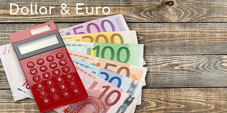 Umrechner Dollar zu Euro